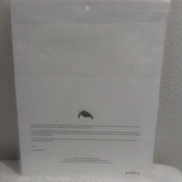 Framed Hawaiian Seashells - Ribbed Miters Collection - Picture 3 of 3